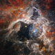 Imagen para el artículo titulado El telescopio Webb captura la 'tela de araña' de la Nebulosa de la Tarántula